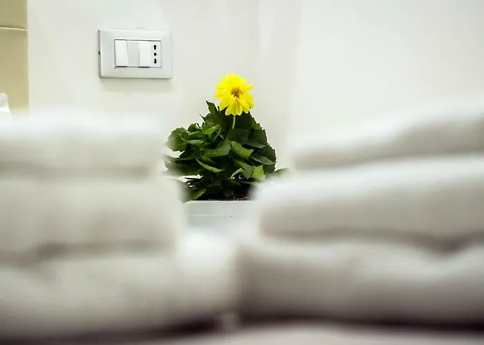 Mr. Charlie Brown Rom